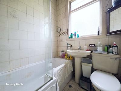 Picture 8